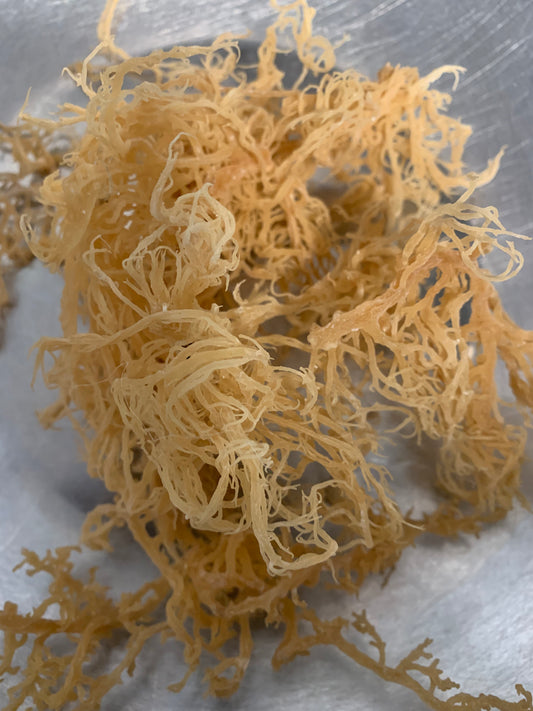 Organic & Halal Herbal Extract -  LIMITED TIME